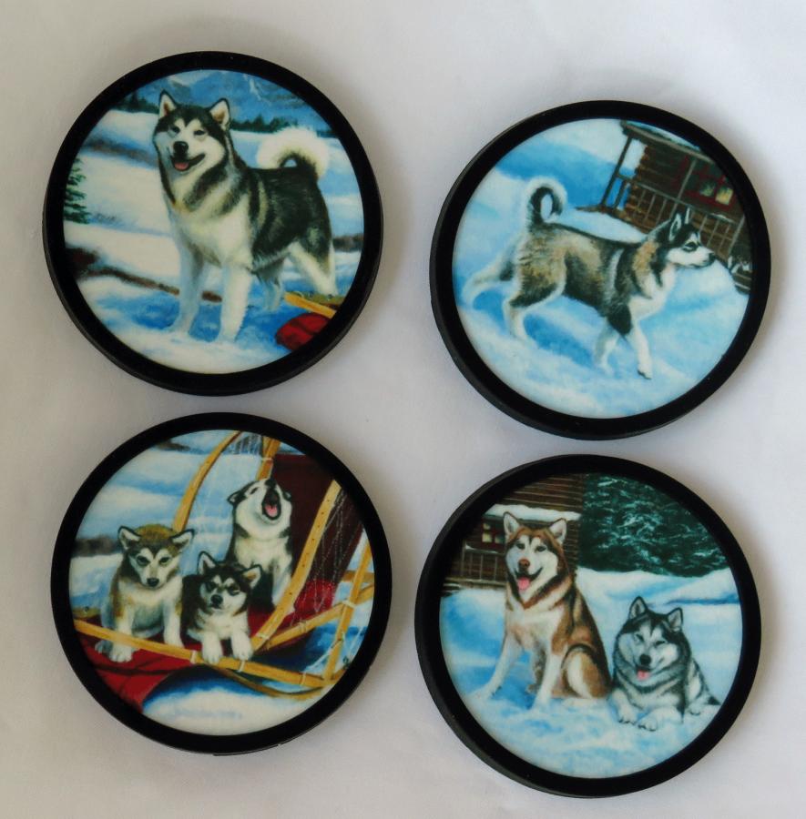 Alaskan Malamute 4 coasters