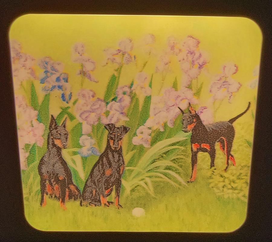 Manchester #4 nightlight-on