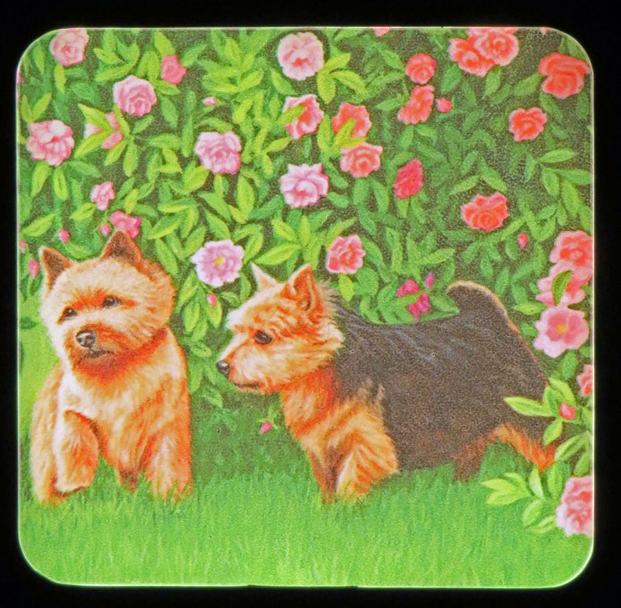 Norwich #6 nightlight-on