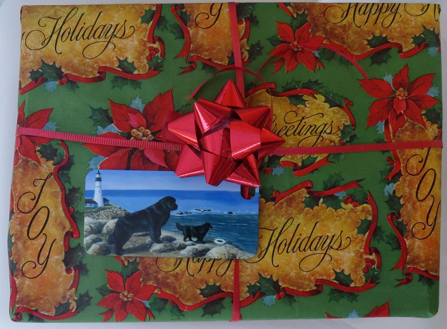 Newf 4 pkg tag on package