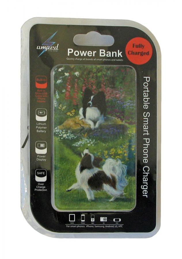 Papillon power bank package