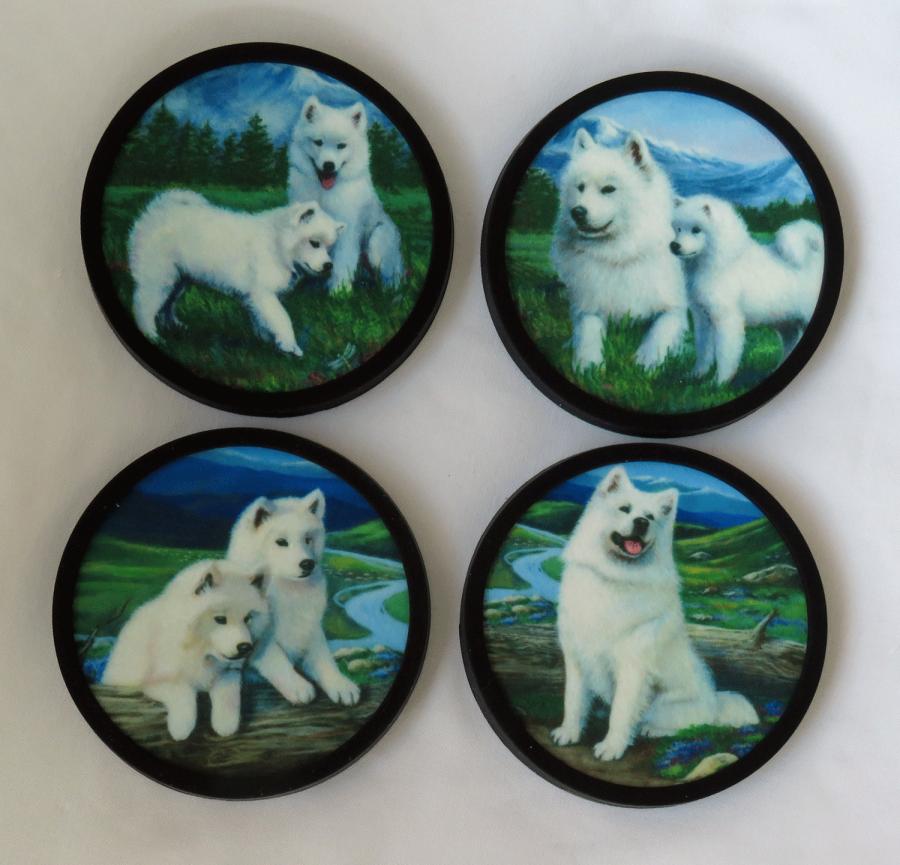 Samoyed 4 coasters