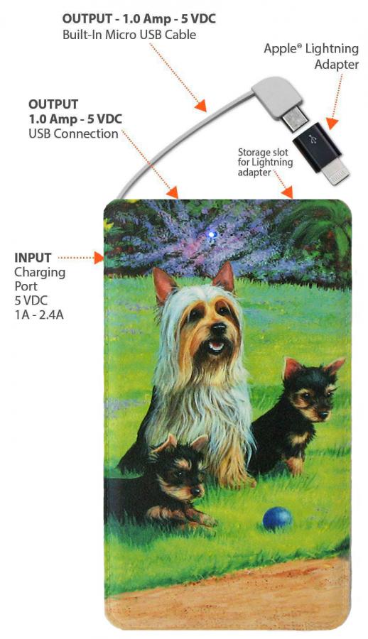 Silky Terrier power bank