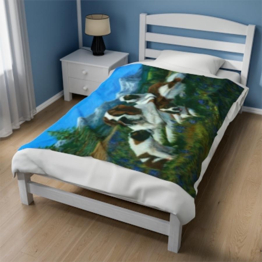 St B 4 blanket on twin bed