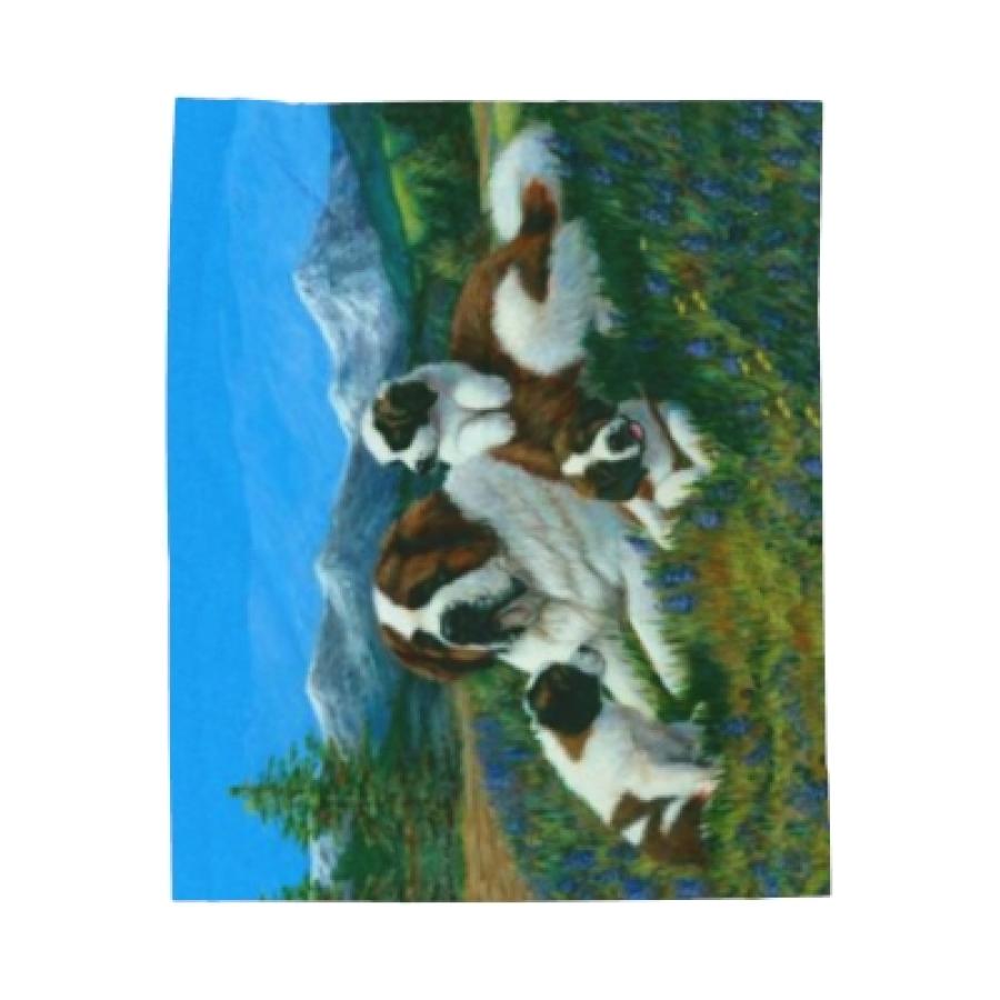 St B 4 blanket detail