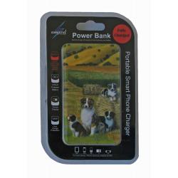aussie 4 power bank package