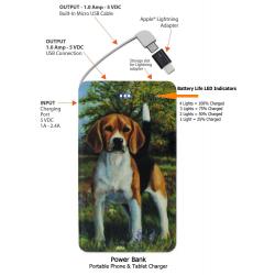 Beagle 4a-pbk