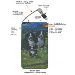 Berner power bank 4