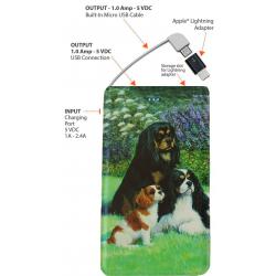 Cavalier 5 power bank