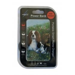Cavalier power bank package