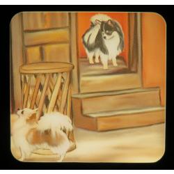 Chihuahua 4B nightlight-on