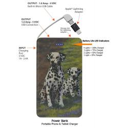 Dalmatian-2b-pbk