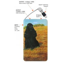 English Cocker 2B power bank