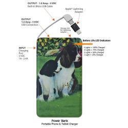 Eng Springer 1-pbk
