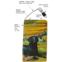 Flat Coat 1A power bank