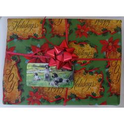 GWP 2PKG Tag on package