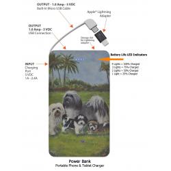 Havanese 4-pbk