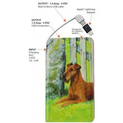 Irish Terrier 1 power bank