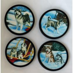 Alaskan Malamute 4 coasters