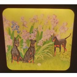 Manchester #4 nightlight-on