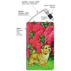 Norfolk 4A power bank