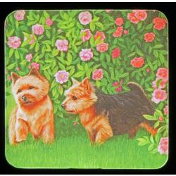 Norwich #6 nightlight-on