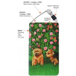 Norwich 6A power bank