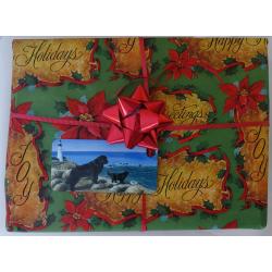 Newf 4 pkg tag on package