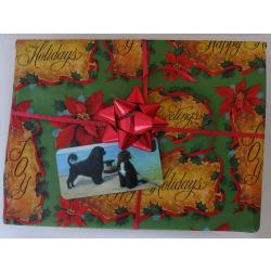 PWD 1 pkg tag on package