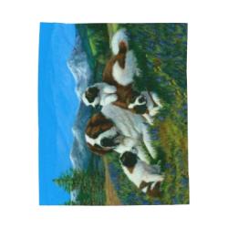 St B 4 blanket detail