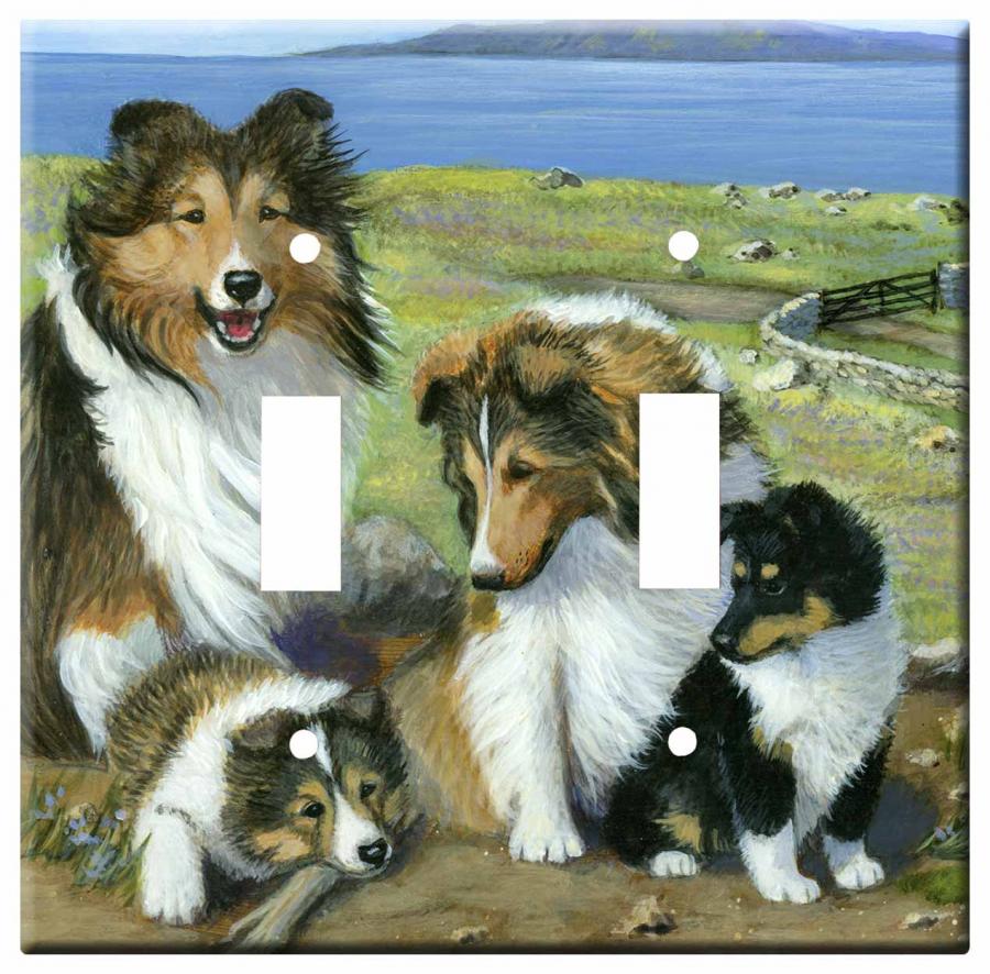 Sheltie 3b dlsp-M