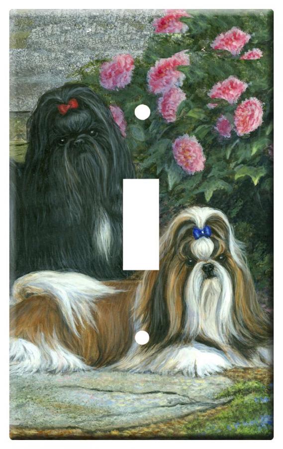 Shih tzu 1a slsp-M