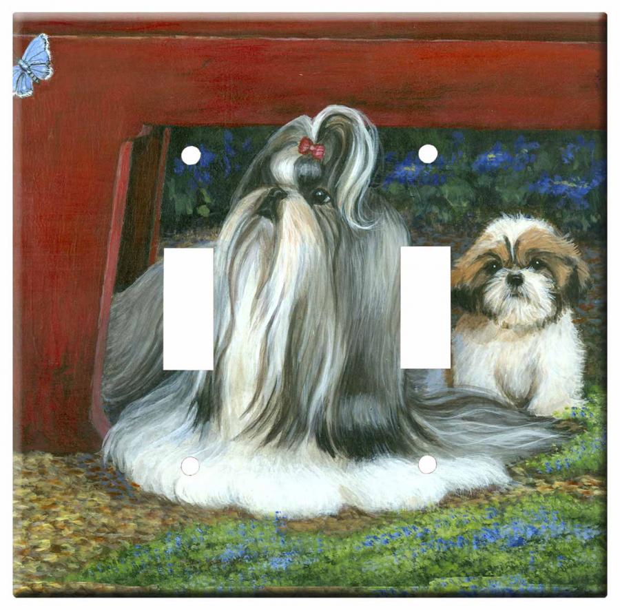 Shih Tzu 2b dlsp-M