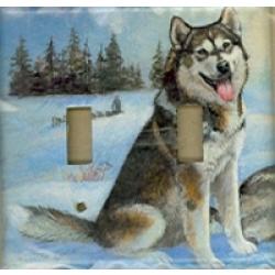 Alaskan Mal 1B DLSP-P