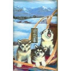 Alaskan Mal 3B SLSP-P