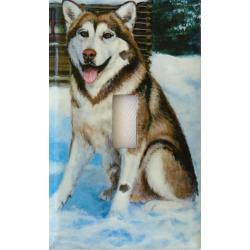 Alaskan Mal 4B SLSP-P