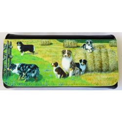 Aussie 4 glasses case