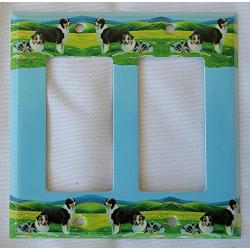 Aussie 1 RDLSP-plastic