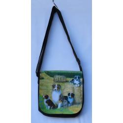 Aussie 4B messenger bag - front