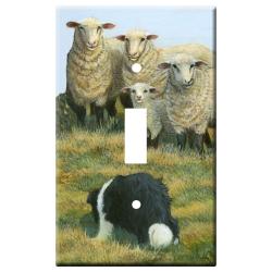 Border collie 4a slsp-M