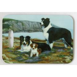 Border Collie 5 Luggage Tag