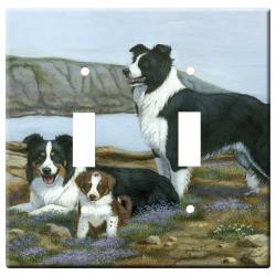 border collie 5a dlsp-M