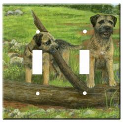 Border terrier 1a dlsp-M