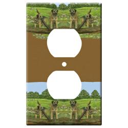 Border terrier 1a otlp-M