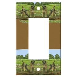 Border terrier 1a rslsp-M