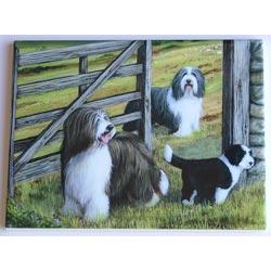 Bearded Collie #4 - 6x8 Ceramic Tile