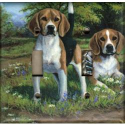 Beagle 4A DLSP-P