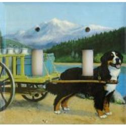 Berner 1A DLSP-P