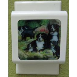 Berner #3 nightlight-off