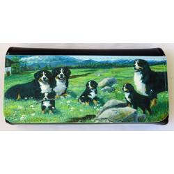Berner 4-5 glasses case